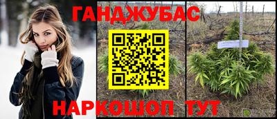 тгк Обь