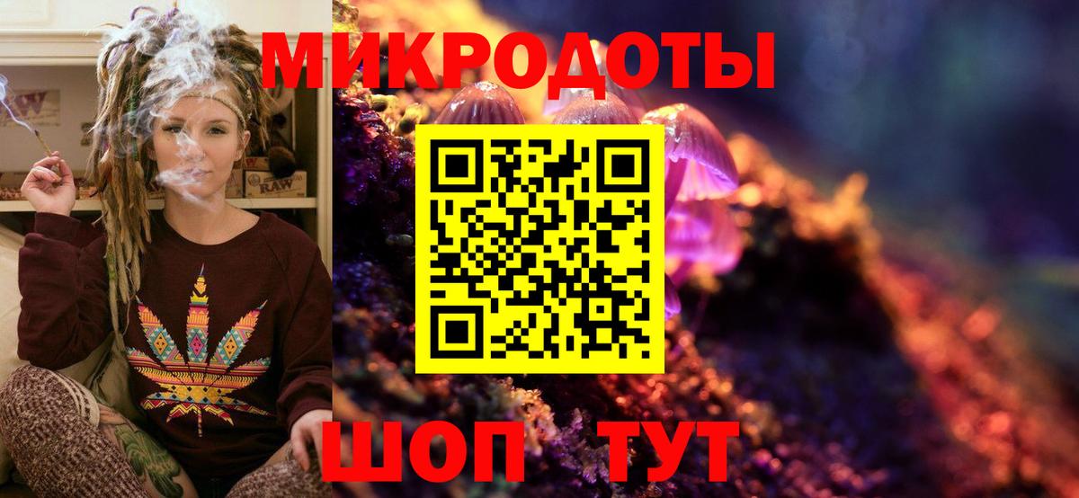Псилоцибиновые грибы мицелий Пенза
