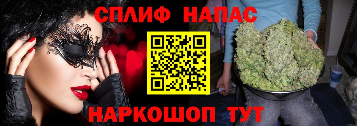 Бошки Шишки планчик Пенза